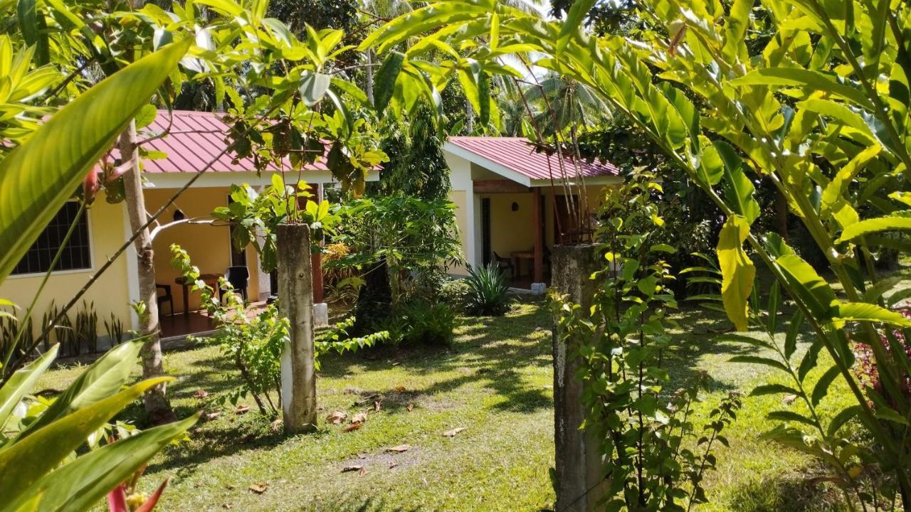 Acacia'S Cottages With Starlink Wifi مامباجاو المظهر الخارجي الصورة