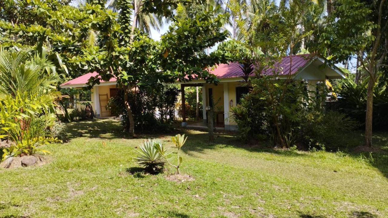 Acacia'S Cottages With Starlink Wifi مامباجاو المظهر الخارجي الصورة
