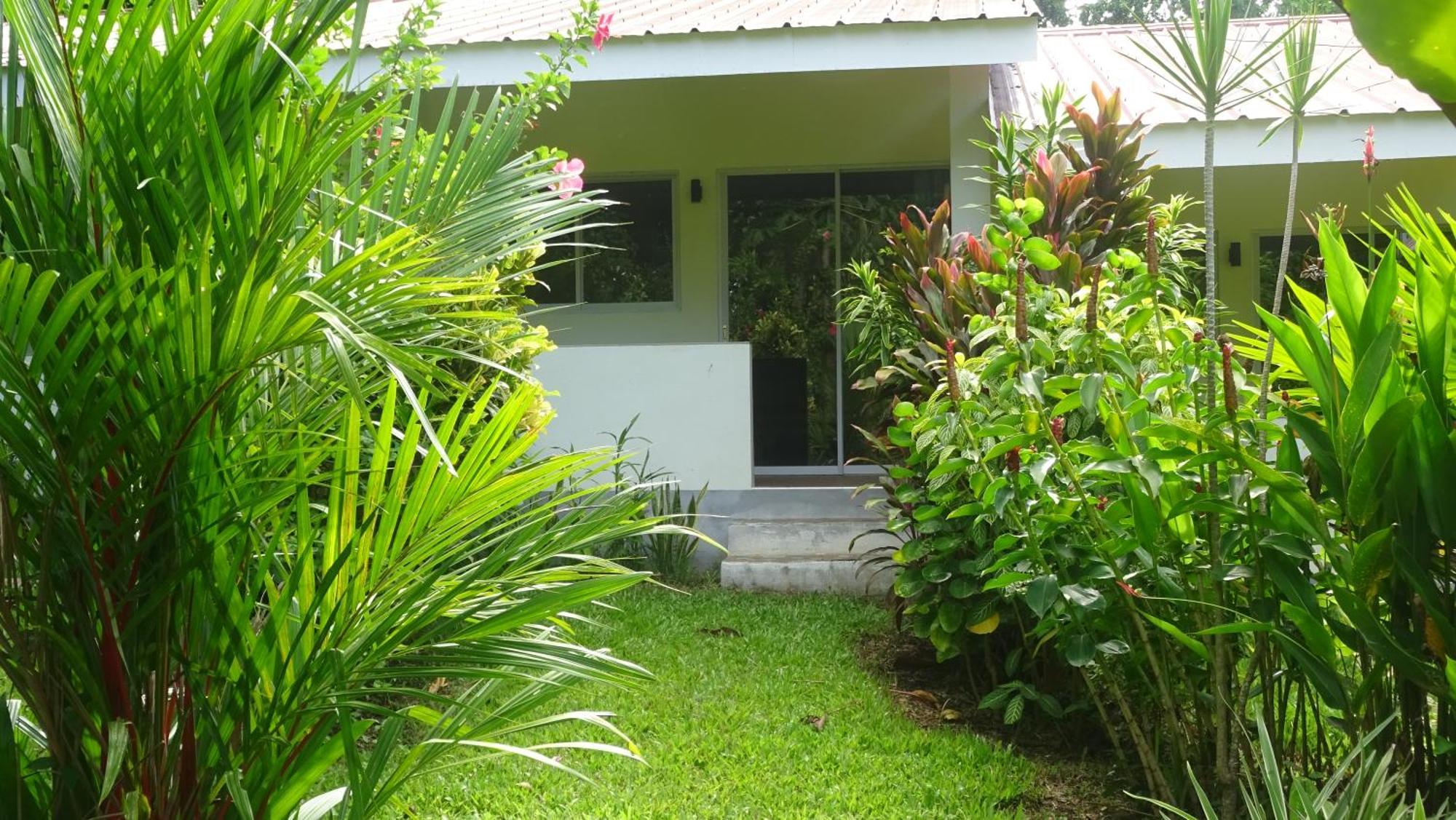 Acacia'S Cottages With Starlink Wifi مامباجاو المظهر الخارجي الصورة